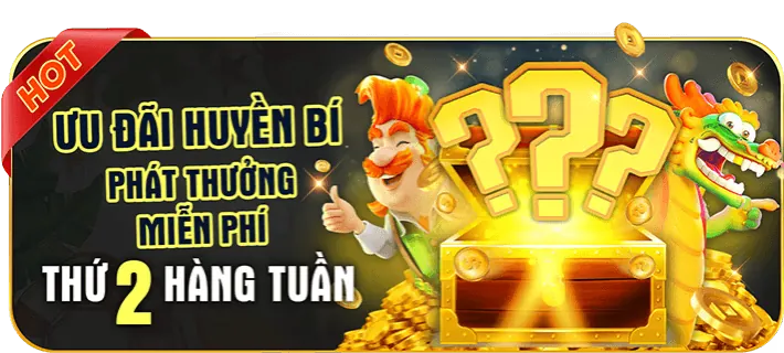 Nền Tảng Được Cấp Phép